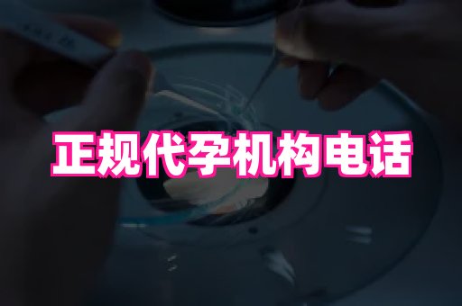 贵州助孕网站 2